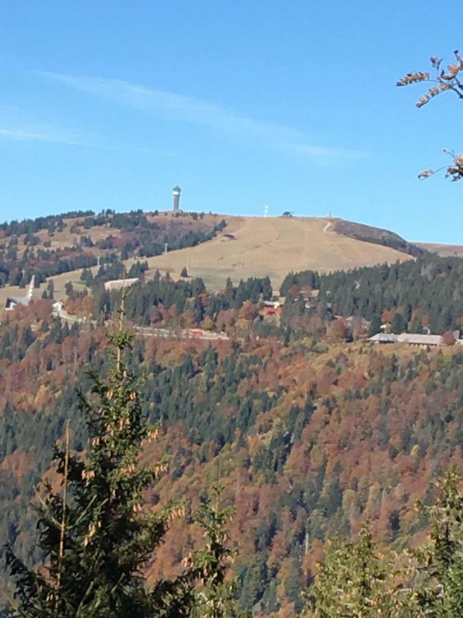Chalet Breitnauschoen 外观 照片